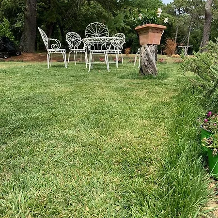 Bed & Breakfast Borgo Fontaccia *